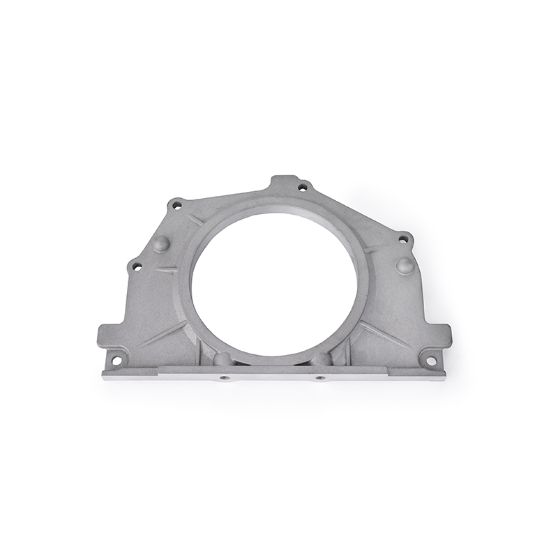 Flanges in partibus eget